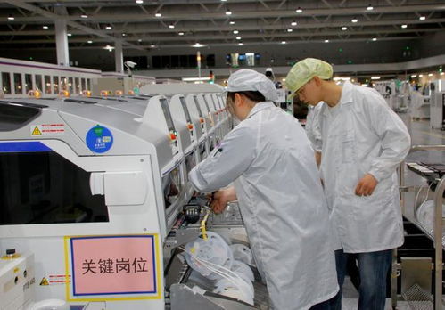 芯片獲最高認證，兩江新區硬科技開啟技術服務新篇章